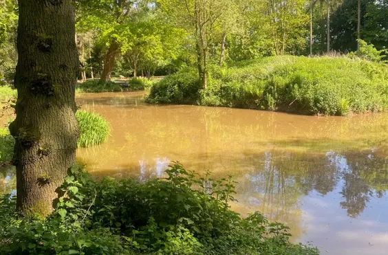 Woodcote Hall - Photo of the garden where applicable