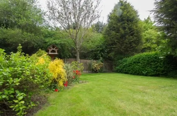 Charnwood Park Residential Home - Photo of the garden where applicable