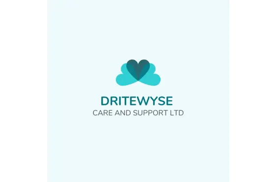 Dritewyse Care and Support Ltd - A company logo