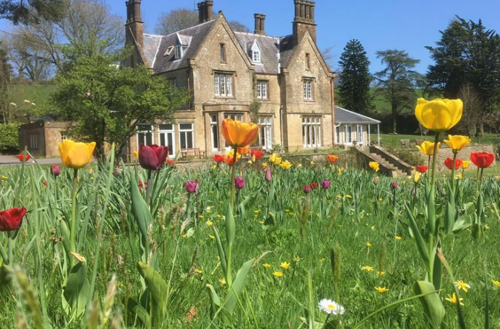 Broadwindsor House - An outside view of the home