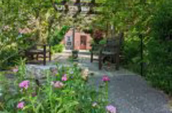 Clare Hall Nursing Home - Photo of the garden where applicable