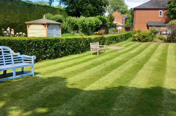 Mandeville Grange Nursing Home - Photo of the garden where applicable