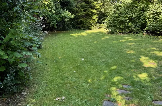 Charlesworth Rest Home - Photo of the garden where applicable
