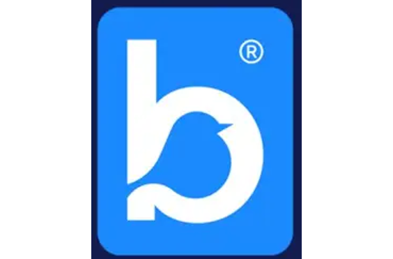 Bluebird Care Docklands, Stratford and Wapping - A company logo