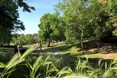 An additional photo