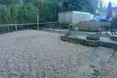 Photo of the garden where applicable