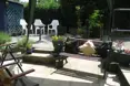 Photo of the garden where applicable