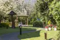 The Albany Care Home - Photo of the garden where applicable