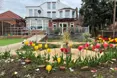 Photo of the garden where applicable
