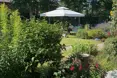Photo of the garden where applicable