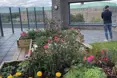 Photo of the garden where applicable