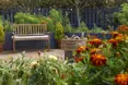 Photo of the garden where applicable