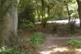 Photo of the garden where applicable