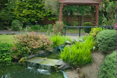 Photo of the garden where applicable
