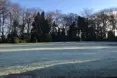 Photo of the garden where applicable