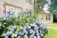 Photo of the garden where applicable