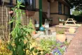 Photo of the garden where applicable