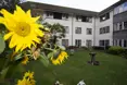 The Martlets - An outside view of the home