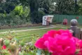 Photo of the garden where applicable