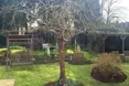 Photo of the garden where applicable