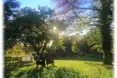 Photo of the garden where applicable