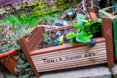 Photo of the garden where applicable