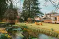 Photo of the garden where applicable