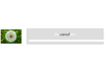 Be Cared For Limited - A company logo